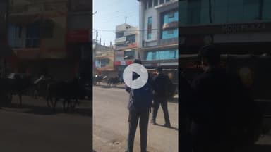 #बीना शहर की मुख्य सड़कों से लेकर गली मुहल्लों में आवारा सांड आए दिन उत्पात मचाते देखे जा सकते हैं