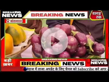 #बांसवाड़ा में उन्नत #खेती समृद्धि #किसान,12 #कृषकों को कृषि #योजना की वित्तीय #स्वीकृति दी गई