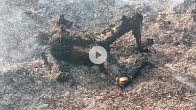 ରାଇଘର: ନୀଳଗିରି ଜଙ୍ଗଲ ରୁ ଅଜଣା ବ୍ୟକ୍ତିଙ୍କ ଅର୍ଦ୍ଧଦଗ୍ଧ ମୃତ ଦେହ ଉଦ୍ଧାର