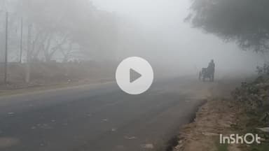 मुंगेर: एनएच-80 पर घना कोहरा छाया, विजिबिलिटी 20 मीटर तक घटी, शीतलहर से बढ़ी ठंड, वाहन चालक लाइट जलाकर चलने को मजबूर