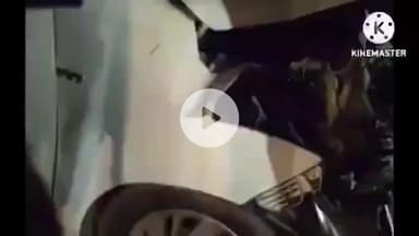 बस्ती: बस्ती जिले के कलवारी टांडा मार्ग पर एक सांड से कार टकराई, तीन लोग गंभीर रूप से घायल, घायलों को पहुंचाया अस्पताल