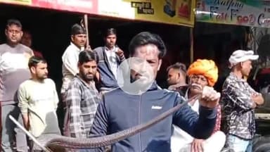 झालरापाटन: पिपलिया स्थित कृषि सेवा केंद्र में कोबरा सांप घुसने से हड़कंप, स्नेक केचर एक्सपर्ट ने कोबरा का रेस्क्यू कर जंगल में छोड़ा