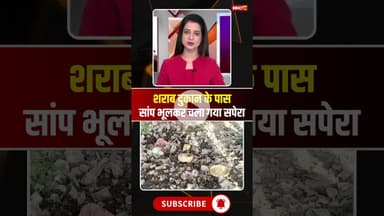शराब दुकान के पास सांप भूलकर चला गया सपेरा। #jabalpurviralvideo #mpnews #viralnews #viralshorts