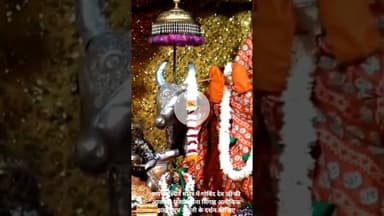 जयपुर स्थित मंदिर में गोविंद देव जी की आज की पूजा अर्चना सिंगार अलौकिक झांकी धूप आरती के दर्शन कीजिए