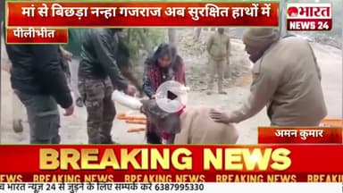 मां से बिछड़ा नन्हा गजराज अब सुरक्षित हाथों में@Bharattnews24#bharatnews24x7