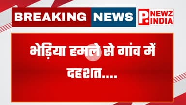 बहराइच में भेड़िया मां की गोद से मासूम ले गया,बहराइच, उत्तर प्रदेश।  @pnewzindia