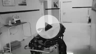 भिवानी: भिवानी में दिनदहाड़े भाभी की हत्या: देवर ने चाकू से हमला किया, फिर खुद का सिर दीवार पर मारा