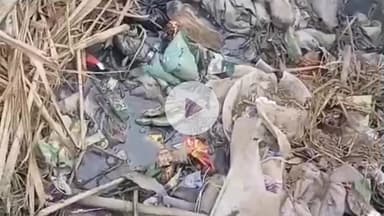 अमरोहा: अमरोहा के गांव पतेई खालसा में गंदगी के अंबार से परेशान लोगों ने किया विरोध प्रदर्शन, साफ-सफाई की मांग