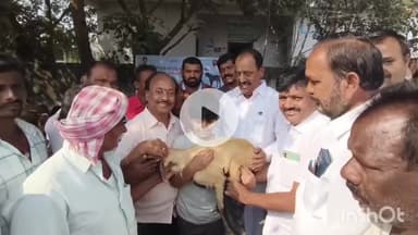 పశు వైద్య శాఖ ఆధ్వర్యంలో ఉచిత నటల పంపిణీ కార్యక్రమం కి హాజరైన ఎమ్మెల్యే రేవూరి ప్రకాష్ రెడ్డి