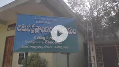 రుద్రంగి: చిరుత పులి వీడియో వైరల్