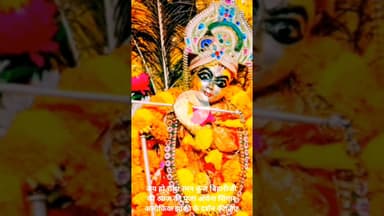 जय हो राधा रमन को कुंज बिहार जी की आज की पूजा अर्चना सिंगार अलौकिक झांकी के दर्शन कीजिए