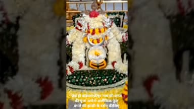 जय हो बाबा तारकेश्वर नाथ जी की आज की पूजा अर्चना सिंगार फूल बंगले की अलौकिक झांकी के दर्शन कीजिए।