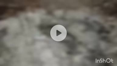 हापुड़: मोहल्ला सादकपुरा स्थित खाली प्लॉट में 4 महीने का भ्रूण मिलने से सनसनी फैल गई, पुलिस मौके पर