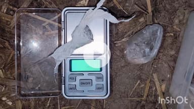 चम्बा: चम्बा-खज्जियार मार्ग पर पुलिस ने 5.89 ग्राम चिट्टे के साथ दो युवकों को किया गिरफ्तार