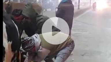 बिहार: सड़क दुर्घटना से बचाव के लिए ढाल दा हिन्दू कवच द्वारा पशुओं को पहनाया जा रहा है रेडियम पट्टा