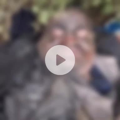 कानपुर: पनकी में नाले में मिला अज्ञात युवक का शव, पुलिस कर रही है शिनाख्त के प्रयास