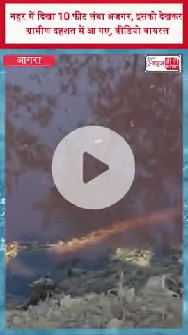 आगरा: नहर में दिखा 10 फीट लंबा अजगर, इसको देखकर ग्रामीण दहशत में आ गए, वीडियो वायरल