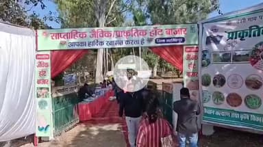 नरसिंहपुर: शासकीय उद्यानिकी परिसर में जिला पंचायत CEO ने जैविक/प्राकृतिक हाट बाजार का किया शुभारंभ