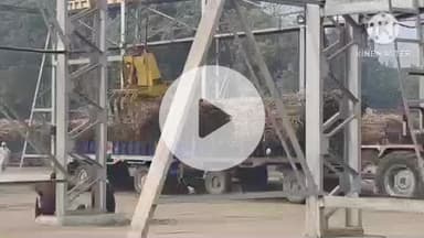 सोनीपत: सोनीपत शूगर मिल में 2 लाख 70 हजार क्विंटल गन्ने की पिराई पूरी, 24 घंटे में 19 हजार क्विंटल से अधिक गन्ने की पिराई हुई