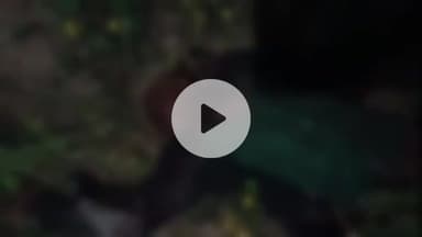 बेगूसराय: बेगूसराय के रचियाही गांव में अपराधियों ने एक युवक की गला रेतकर हत्या की, पुलिस जांच में जुटी