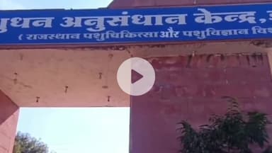 डग: डग में 15 करोड़ रुपए की लागत से सेंटर ऑफ एक्सीलेंस खोलने की घोषणा, पशुपालकों को मिलेगा सीधा फायदा