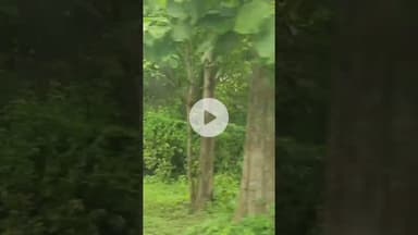 sonu nigam। shorts। mujha bas rat...