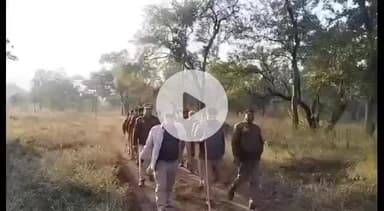 मानिकपुर: क्षेत्राधिकारी मऊ के नेतृत्व में थाना मारकुण्डी और थाना मानिकपुर क्षेत्र के जंगलों में पुलिस बल द्वारा की गई कॉम्बिंग