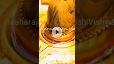 जय हो काशी विश्वनाथ जीकी आज की पंचामृत स्नान जलाभिषेक पूजा के दर्शन कीजिए।