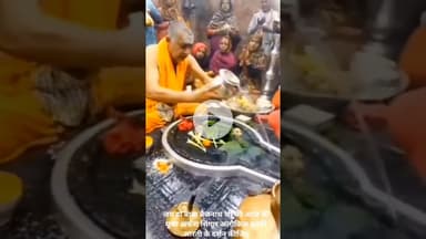 जय हो बाबा बैद्यनाथ जी की आज की पूजा अर्चना सिंगार अलौकिक झांकी आरती के दर्शन कीजिए।