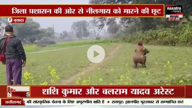 नवादा में फसल बचाने के लिए 26 नीलगायों को मारी गई गोली  #nawada #nawadanews #sonusinghjournalist