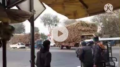 बस्ती: बस्ती जिले के राष्ट्रीय राजमार्ग 27 पर गन्ना लदे ओवरलोड ट्रैक्टर-ट्रालियों का आवागमन जारी, वीडियो आया सामने