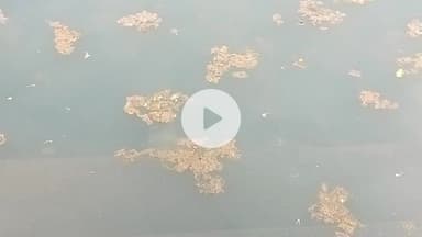 गया टाउन सीडी ब्लॉक: गया: फल्गु नदी में बढ़ी गंदगी, सफाई पर ध्यान न देने से फैला कचरा, मिनी पितृपक्ष जारी