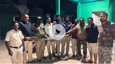 ಪಾಂಡವಪುರ: ನಾಲೆಯಲ್ಲಿ ಕಾಣಿಸಿಕೊಂಡಿದ್ದ ಮೊಸಳೆ ಸೆರೆ, ಪಾಂಡವಪುರ ತಾಲ್ಲೂಕು ಅರಳುಕುಪ್ಪೆ ಗ್ರಾಮದಲ್ಲಿ ಅರಣ್ಯಾಧಿಕಾರಿಗಳ ಕಾರ್ಯಾಚರಣೆ