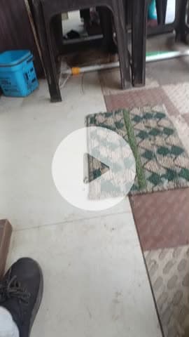 fjdid kckdkxkc##@@##gggfrg