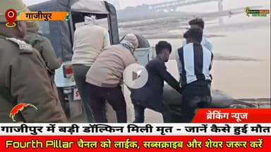 गाजीपुर में बड़ी डॉल्फिन मिली मृत - जानें कैसे हुई मौत #reel #viral #ghazipur #trending #dolfin