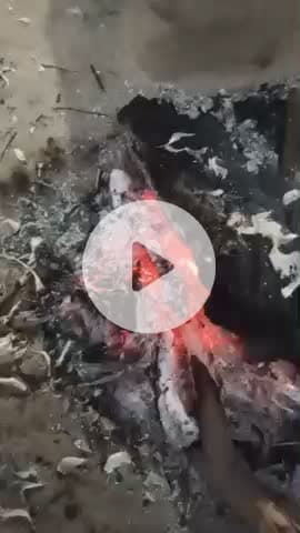 ठंड के कारण लोगों को घरो से निकलना होवा मुश्किल कोहरा ही कोहरा #trend #public #कोहरा