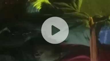 चोलापुर में घने कोहरे के कारण अज्ञात वाहन की चपेट में आने से जीजा-साला की हुई मौत