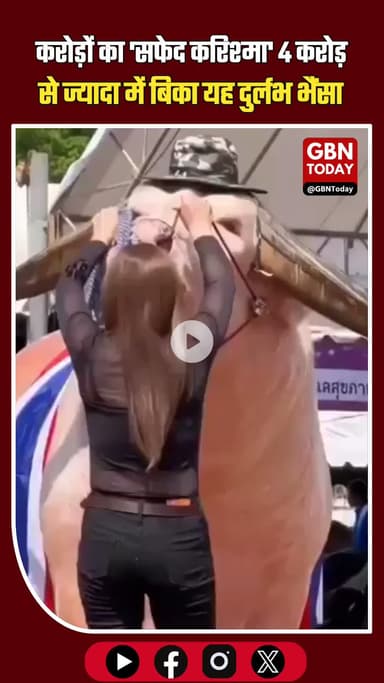 करोड़ों का 'सफेद सुल्तान': नीलामी में लगी $500,000 की ऐतिहासिक बोली! #WhiteBuffalo #RareAnimal #ExpensivePets