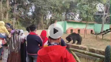 ঝাড়গ্রাম: বর্ষশেষের ছুটিতে পর্যটকের ঢলে মুখর ঝাড়গ্রাম, জঙ্গলমহল জুলজিক্যাল পার্কে রঙিন পশুপাখির আকর্ষণ