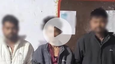 चौबेपुर पुलिस ने 3 गौ-तस्करों को किया गिरफ्तार, 8 गोवंश मिले, वाहन भी बरामद