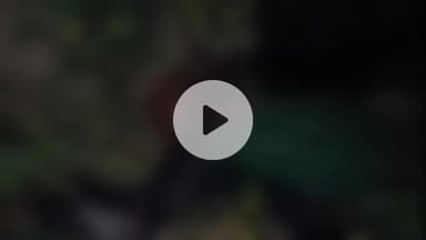 बेगूसराय: बेगूसराय में अपराधियों ने एक युवक को घर से बुलाकर धारदार हथियार से मार डाला, पुलिस जांच में जुटी