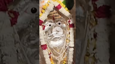 जय हो महूं महल दरबार खिंची #viral #trending #tiktok #reels