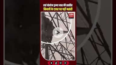 हाई वोल्टेज ड्रामा! प्यार की खातिर बिजली के टावर पर 'बसंती', मेरठ में मचा हड़कंप। #MeerutNews