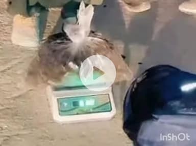 चम्बा: पुलिस ने 5 किलो 128 ग्राम चरस के साथ एक व्यक्ति को किया गिरफ्तार