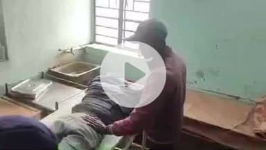 झाझा: सहिया गांव में बाइक के आगे कुत्ता आने से बाइक अनियंत्रित, दो युवक गंभीर रूप से घायल