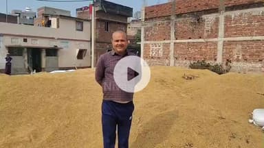 करण्डे गांव में नहीं मिल रहा धान का खरीदार किसान परेशान। पैक्स के द्वारा भी नहीं हो रही धान की खरीदारी