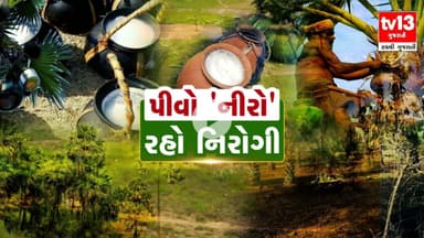 Navsari | પીવો 'નીરો' રહો નિરોગી | tv13 Gujarati