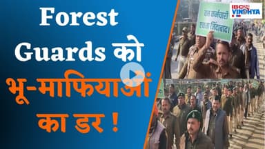 जंगल की रक्षा करने वाले नहीं हैं सुरक्षित, जमीन माफिया सिंगरौली में एक्टिव! | Singrauli News