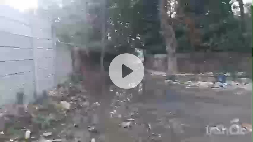करौं: पथरोल के थाना जाने वाले मार्ग में जलजमाव से सड़क।कीचड़मय,पंचायत के।मुखिया से समाधान की मांग 
#जनसमस्या #पथरोल #करौं #कचरा