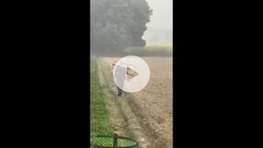 सिराथू: लखनऊ में गमला चोरी के बाद सिराथू इलाके में नेशनल हाईवे पर लगे पेड़ों के ट्री गार्ड चुराने का वीडियो हुआ वायरल